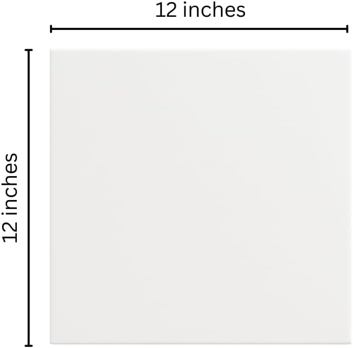 Daltile Ceramic White Tile 12 inchx12 inch(1)